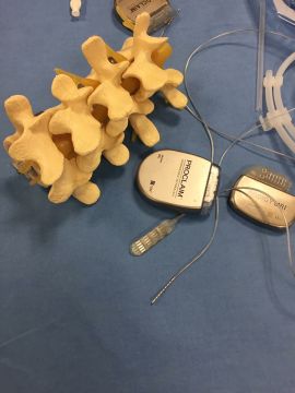 Curso de Dor 2018 Orlando (EUA)